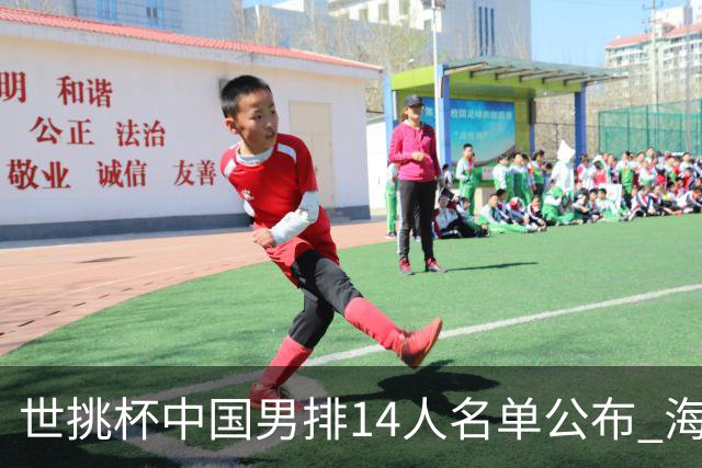 世挑杯中国男排14人名单公布 海宁挂帅江川任队长