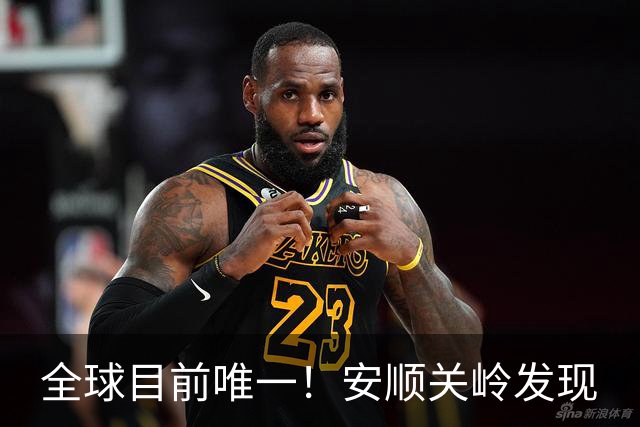 全球目前唯一！安顺关岭发现
