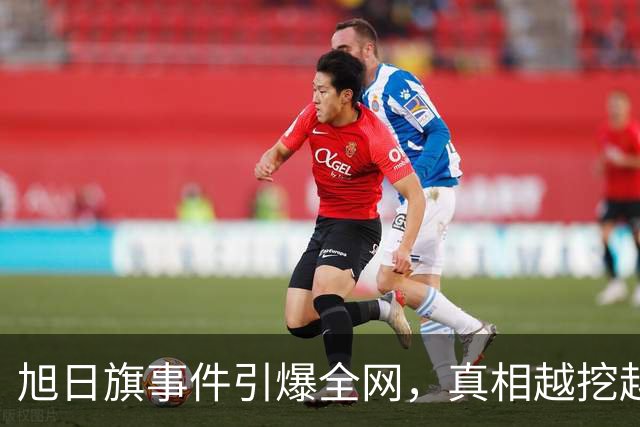 旭日旗事件引爆全网，真相越挖越惊心，董明珠一年前的担心没说错