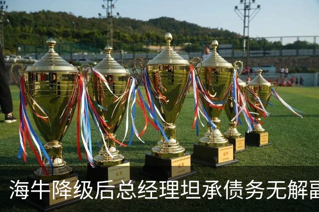 海牛降级后总经理坦承债务无解副总羡慕大连英博