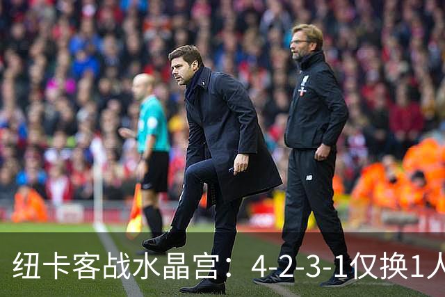 纽卡客战水晶宫：4-2-3-1仅换1人，迈利任右后卫