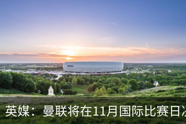 英媒：曼联将在11月国际比赛日决定卡里克去留
