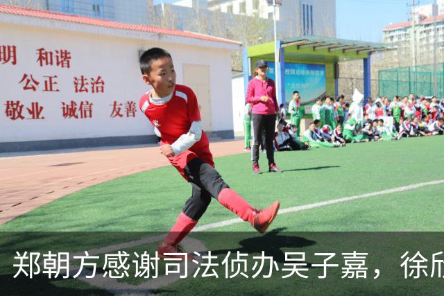郑朝方感谢司法侦办吴子嘉，徐欣莹阵营呛：绿色猎枪办绿营人士就卡弹