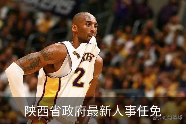 陕西省政府最新人事任免