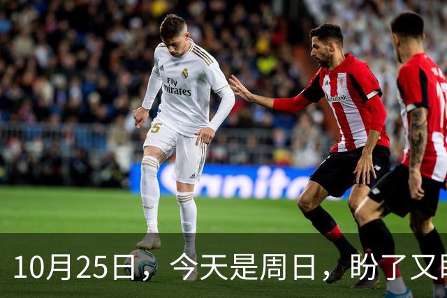 10月25日，今天是周日，盼了又盼的2026年养老金调整通知，终归到如今还是没有如人所愿