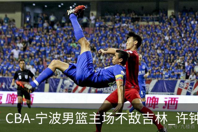 CBA-宁波男篮主场不敌吉林 许钟豪场边指挥